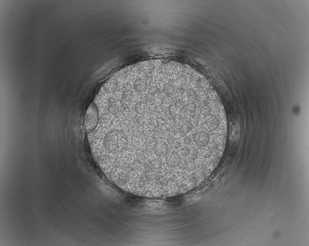 X0000116440666201001191533