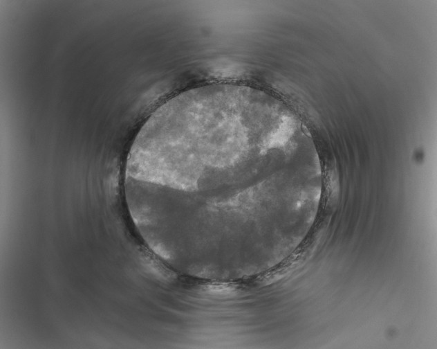 X0000116440668201001191533