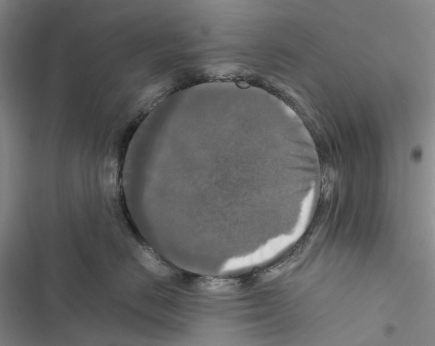 X0000116440670201001191533