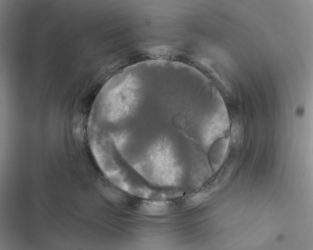 X0000116440671201001191533