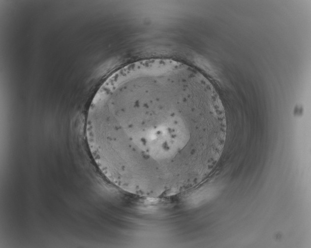 X0000116440672201001191533