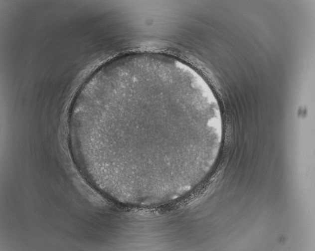 X0000116440673201001191532