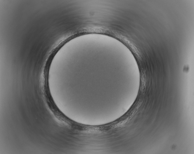 X0000116440674201001191532