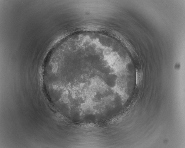 X0000116440675201001191532