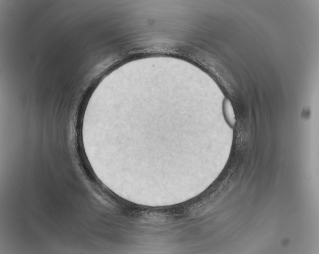 X0000116440677201001191532