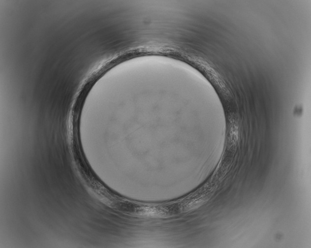 X0000116440678201001191532