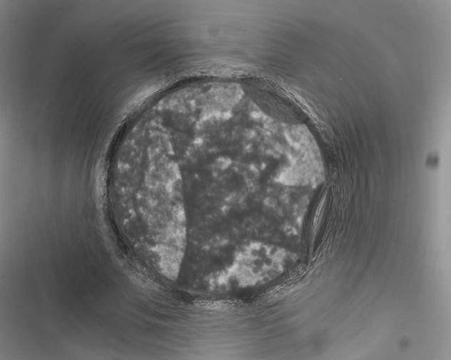 X0000116440679201001191532