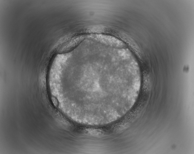 X0000116440681201001191532