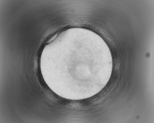 X0000116440685201001191532