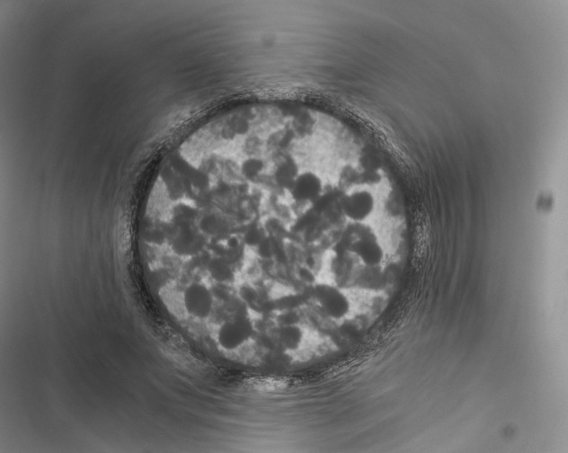 X0000116440687201001191532