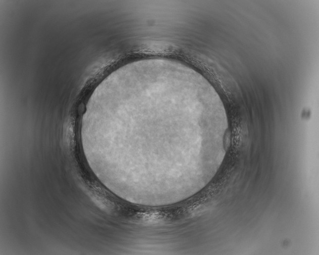 X0000116440688201001191532