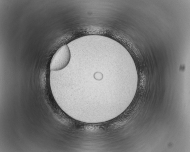 X0000116440690201001191532