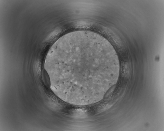 X0000116440692201001191532