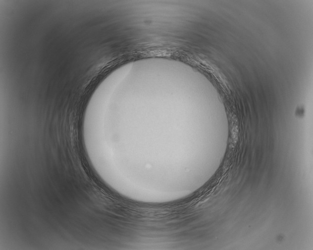 X0000116440693201001191532