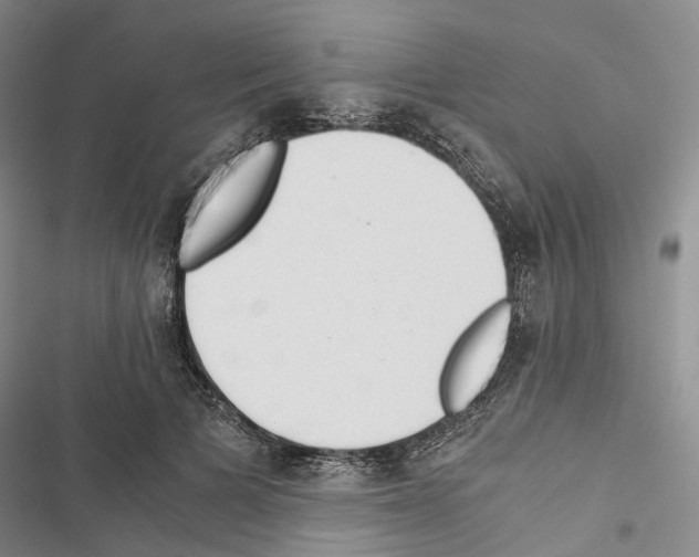 X0000116440697201001191532