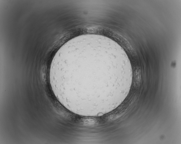 X0000116440698201001191532