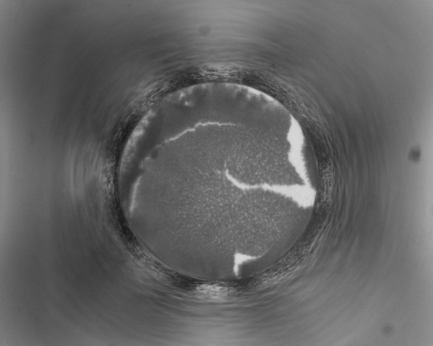 X0000116440699201001191532