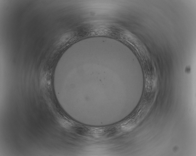 X0000116440701201001191532