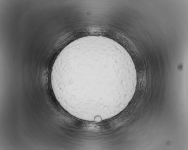 X0000116440702201001191532