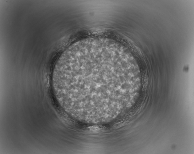 X0000116440703201001191532