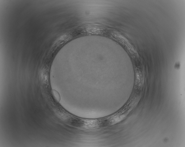 X0000116440705201001191532