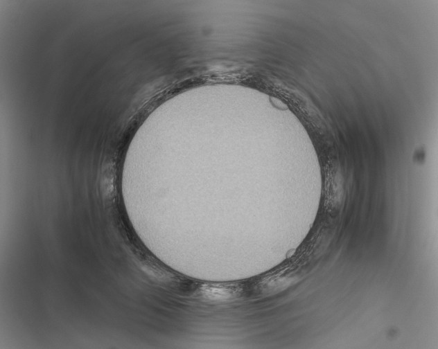 X0000116440706201001191532