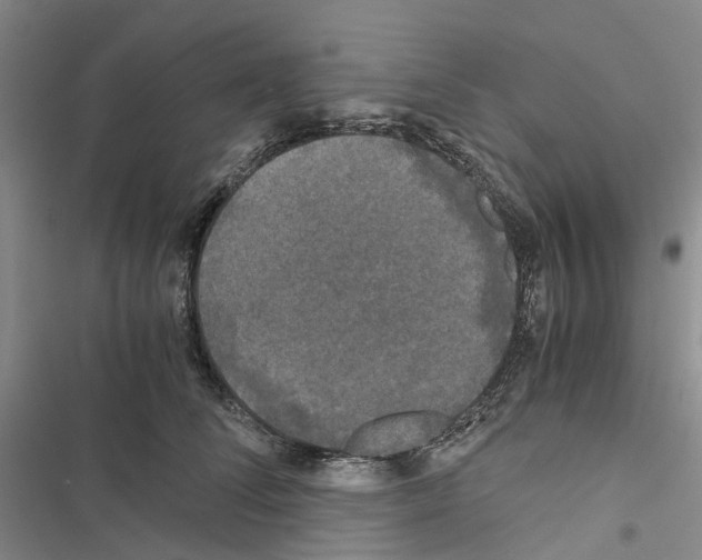 X0000116440708201001191532