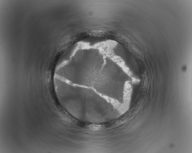 X0000116440711201001191532