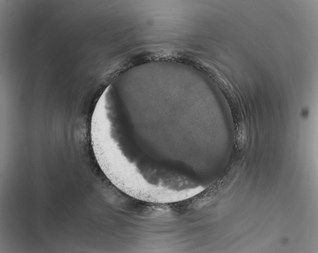 X0000116440715201001191532