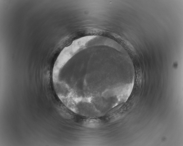 X0000116440716201001191532