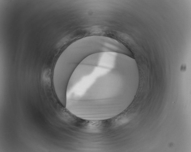 X0000116440720201001191532