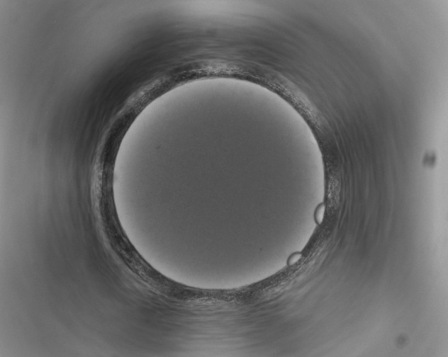 X0000116440722201001191531