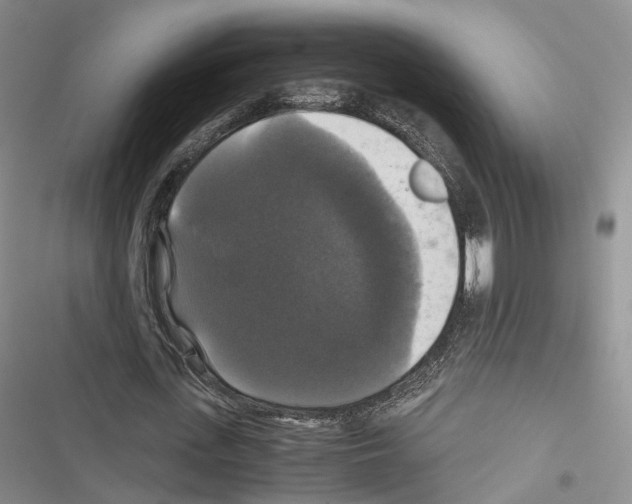 X0000116440723201001191531