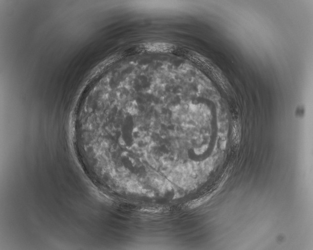 X0000116440725201001191531