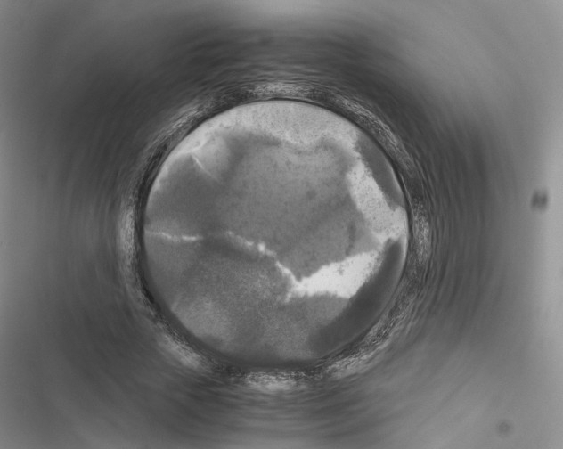 X0000116440729201001191531