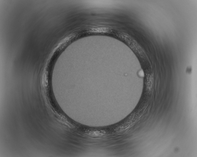 X0000116440731201001191531