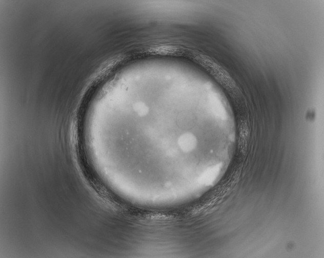 X0000116440734201001191531