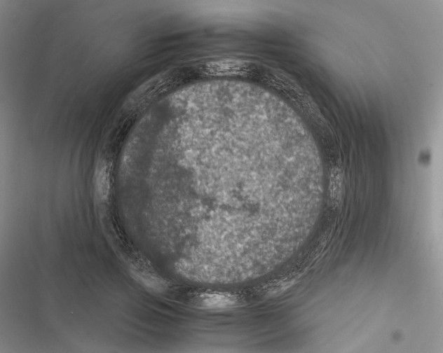 X0000116440741201001191531