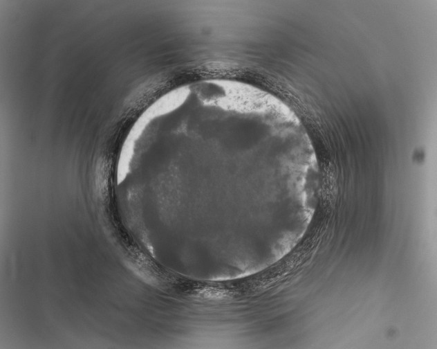 X0000116440742201001191531