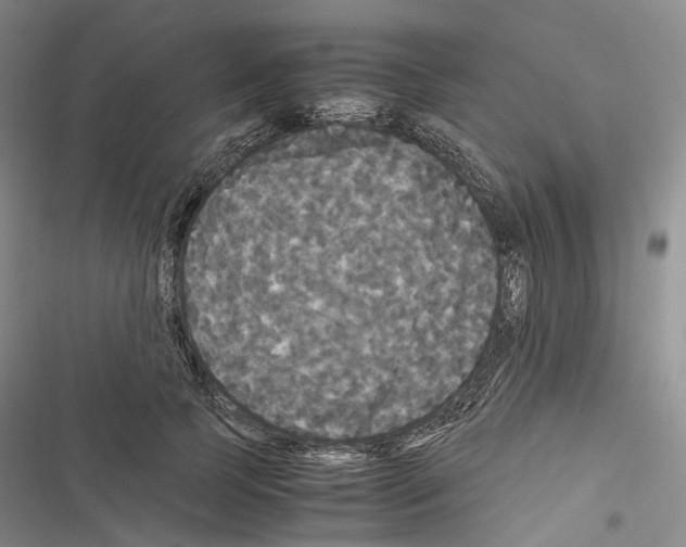 X0000116440745201001191531