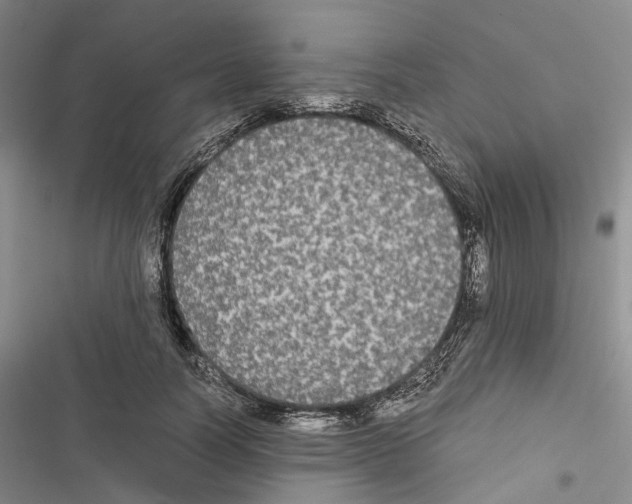 X0000116440746201001191531