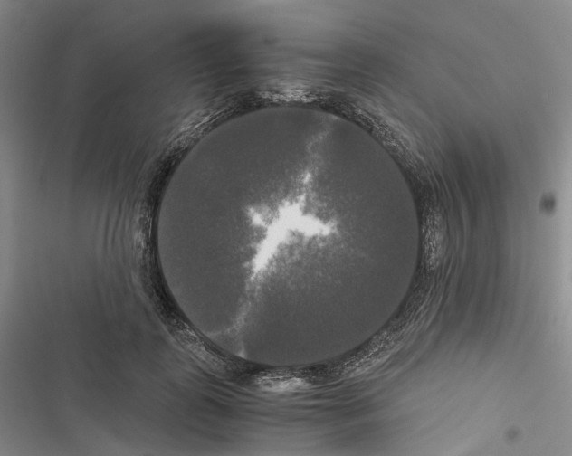 X0000116440747201001191531