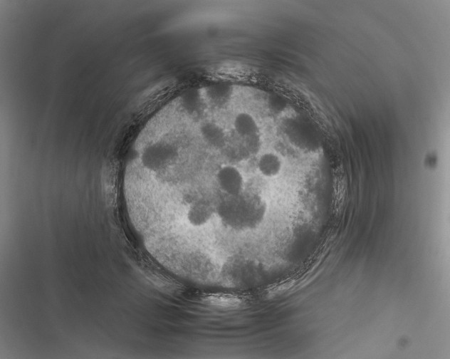 X0000116440749201001191531