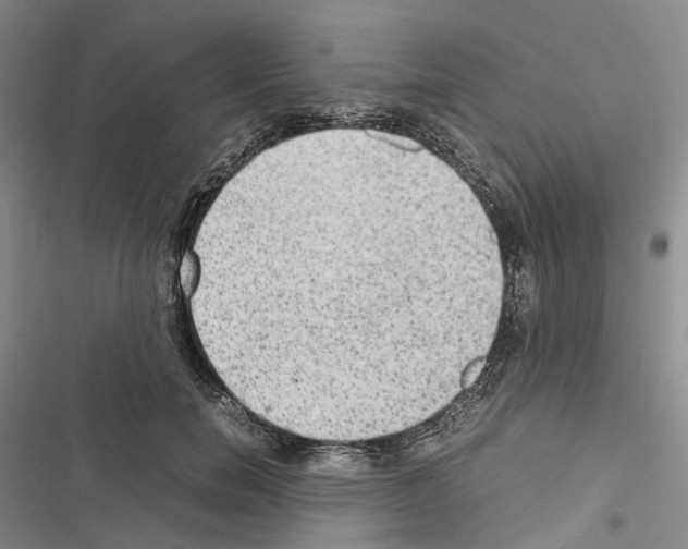 X0000116440750201001191531