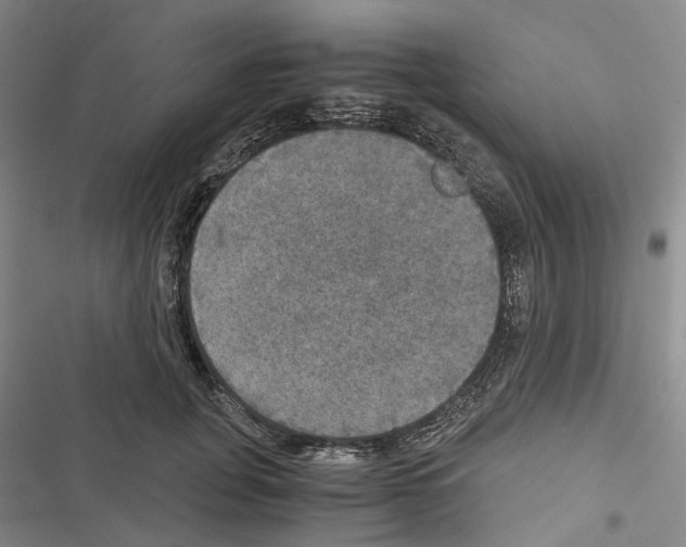 X0000116440751201001191531