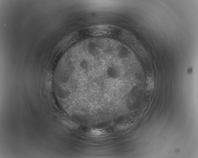 X0000116440753201001191531