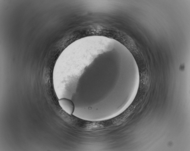 X0000116440754201001191531