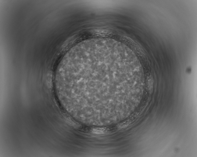 X0000116440757201001191531