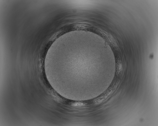 X0000116440759201001191531