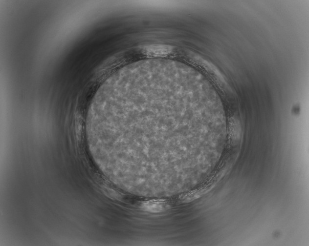 X0000116440761201001191531